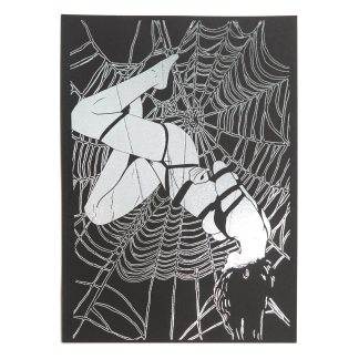 Forbidden Desire II – Lady in Web Bondage Illustration – Dark Surreal Black and White Erotic Silver Foil Wall Art