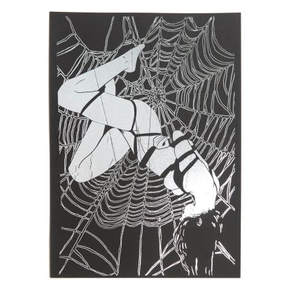 Forbidden Desire II – Lady in Web Bondage Illustration – Dark Surreal Black and White Erotic Silver Foil Wall Art